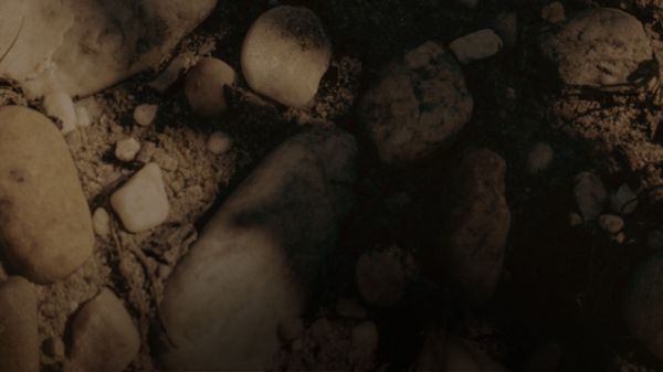 Le Terroir au Château Rauzan-Ségla