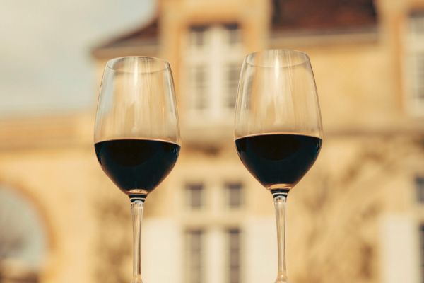 rauzan-primeur-25-cover-trailer