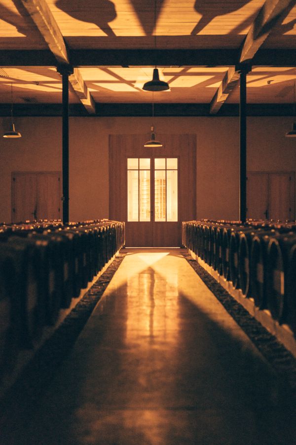 cellar-rauzan-segla-2025-vintage-credits-erea-azurmendi-and-federico-reparaz