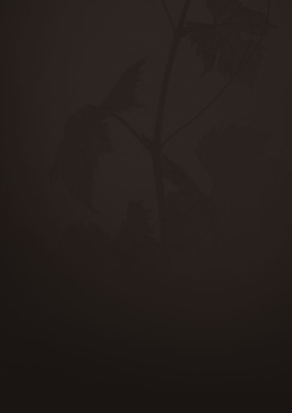 Le terroir Rauzan-Ségla