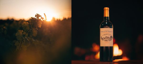 Double image la feuille de vigne et le vin